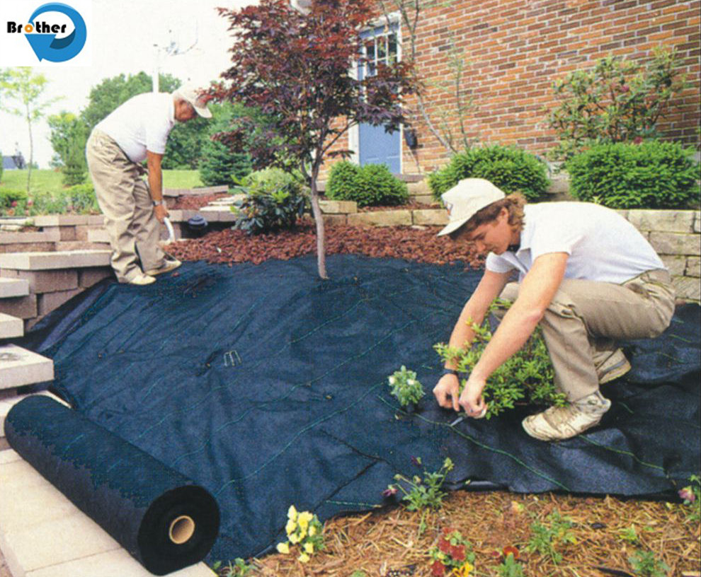 Agricultural Use PP Plastic Fabric Anti Grass Ground Cover Weed Control Mat Weed Barrier Mat