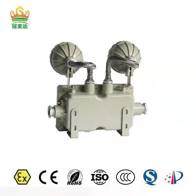 Chemical Industry Explosive Proof Emergency Light Ip66 Flameproof