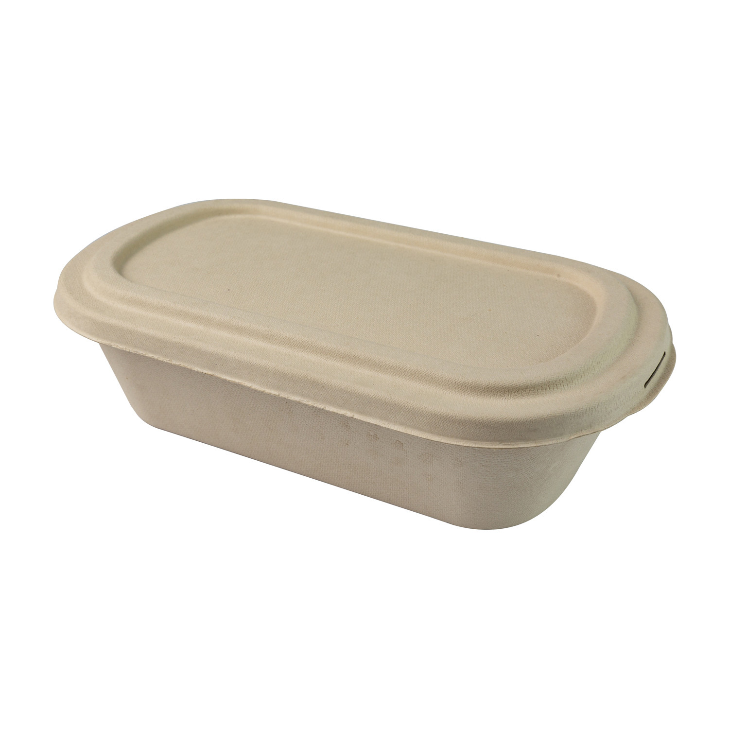 Biodegradable Paper Pulp Lunch Container, Sugarcane Bagasse Food Container, Disposable Tableware