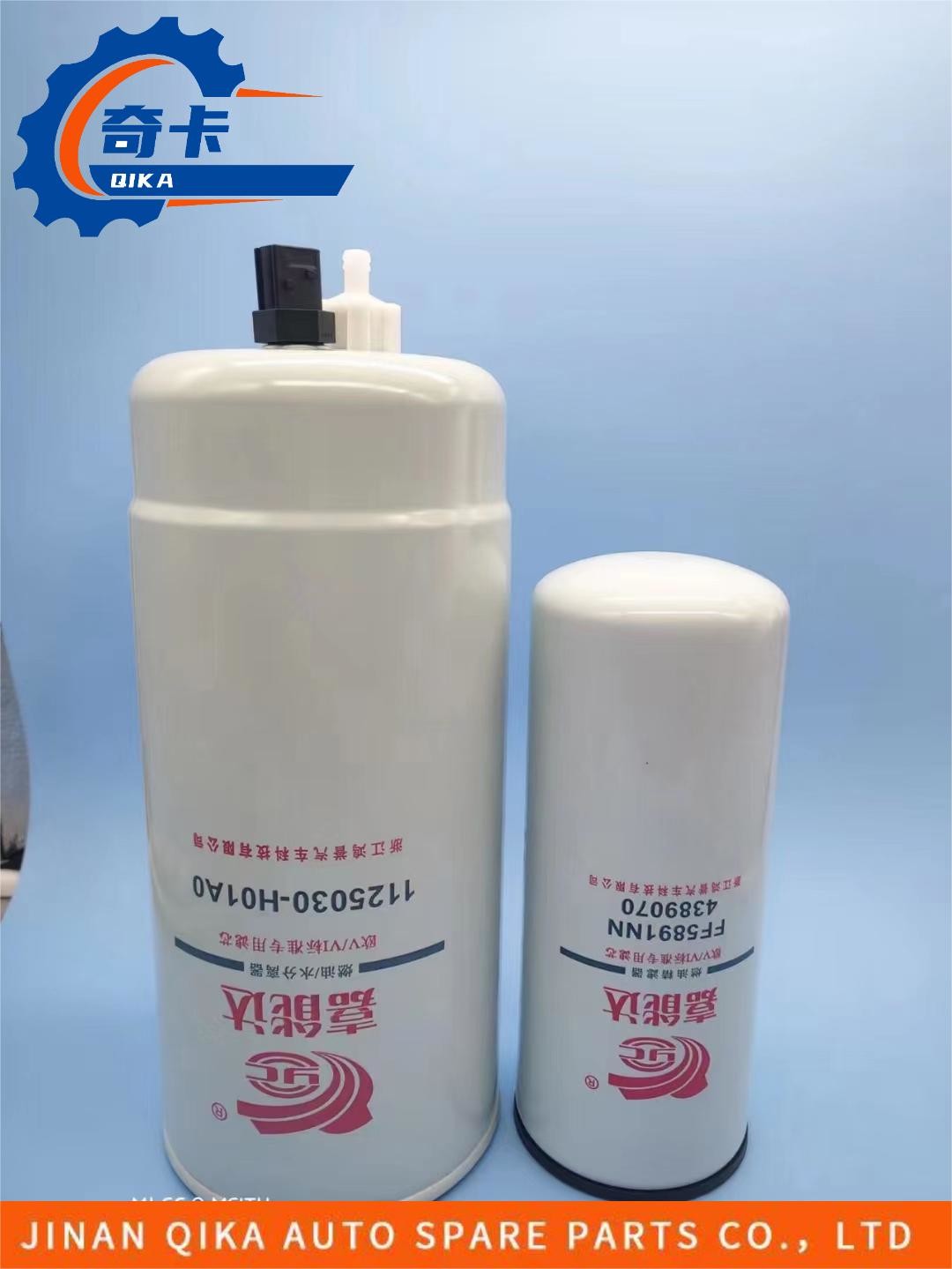 European V/VI Standard Special Filter Element Fuel/Water Separator Engine Oil Filter 1125030-H01A0 FF5891NN4389070