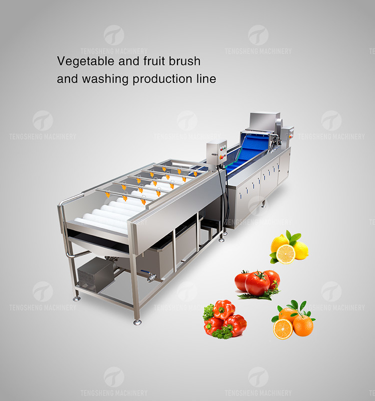 SS 380V Industrial Vegetable And Fruit Washing Machine