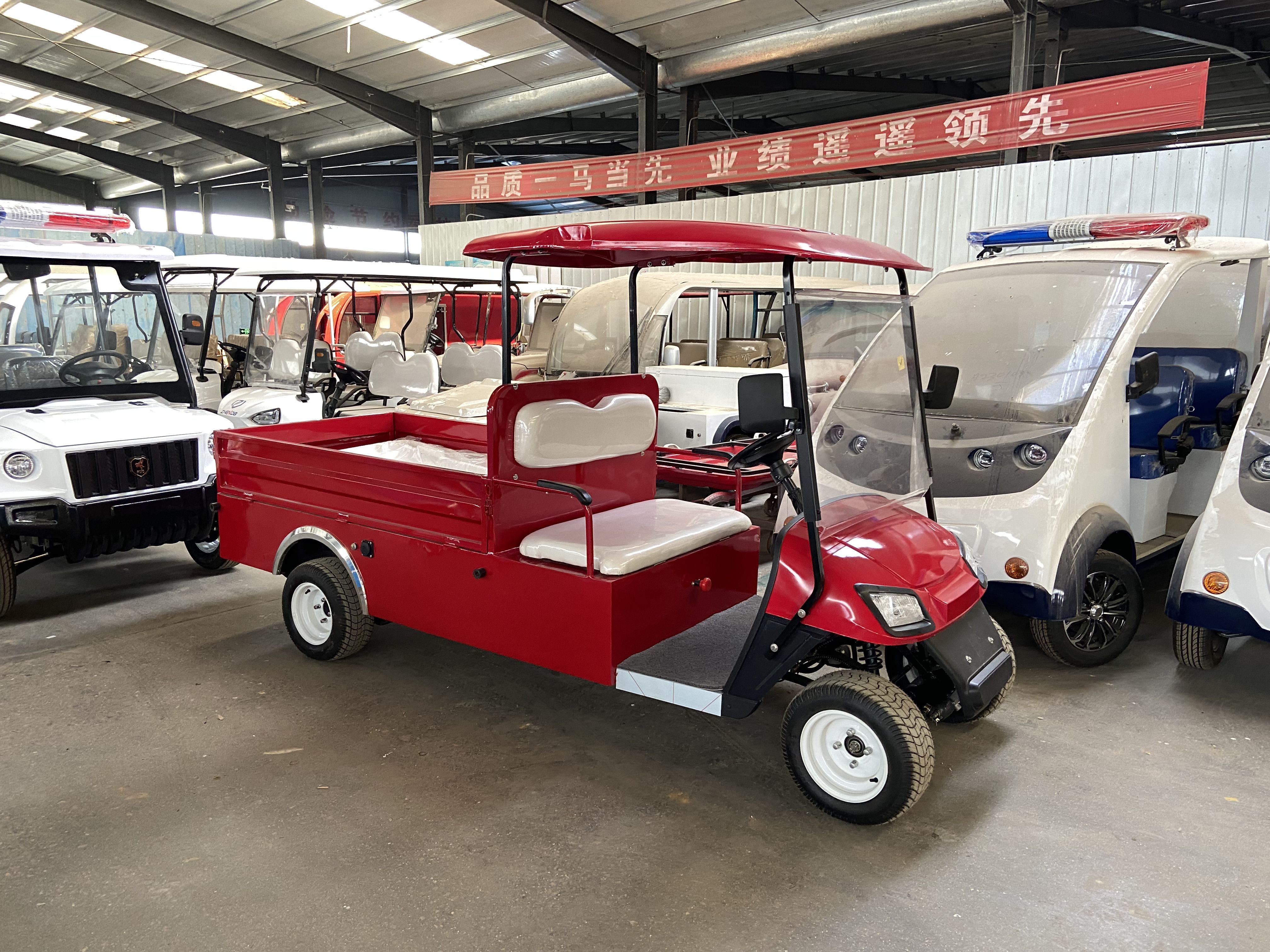 Buggy Cart 2 Seater 12 Inch Golf Utility Cart Electric With Cargo Box Vehicle With Alloy Wheel