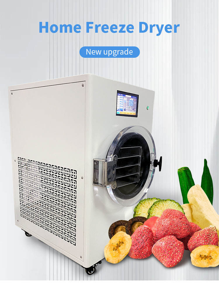 Household Small Vacuum Freeze Dryer Lyophilizer 2300W For Fruit Meat Pet Food 220v