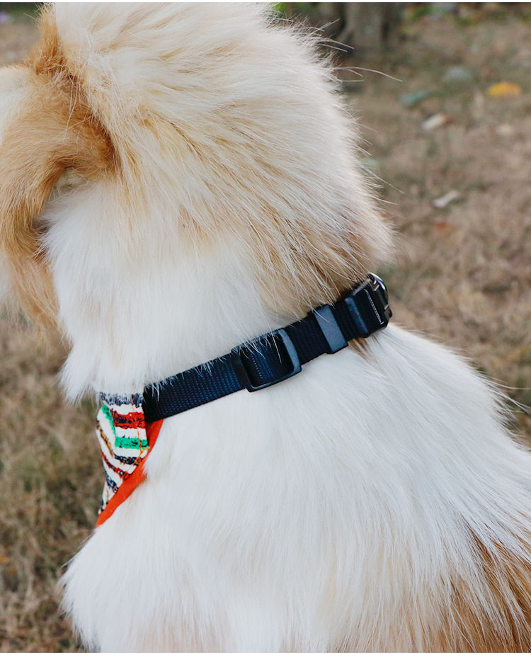 Triangle Personalized Pet Bandana