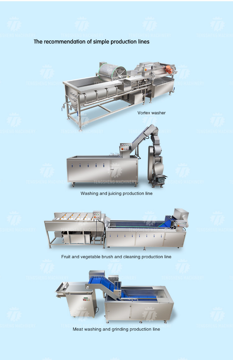 240KG Coriander Dandelions Vegetable Washing Line , ozone generator Fruit And Vegetable Cleaner Machine