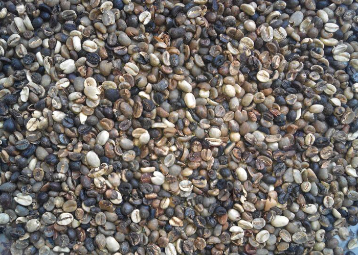 Small Coffee Bean Color Sorter Machine Full Color Linear Array Scanning