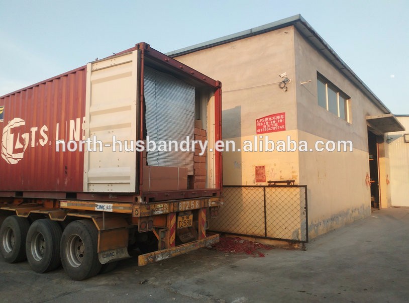 Cina knalpot industri besar kipas, industri Air Blower