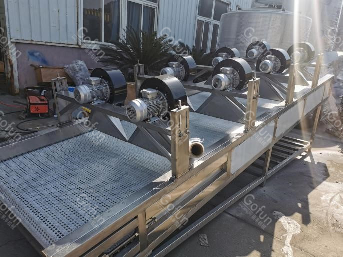 SUS304 Mango Paste Production Machine Mango Pulp Processing Wih Aseptic Bag