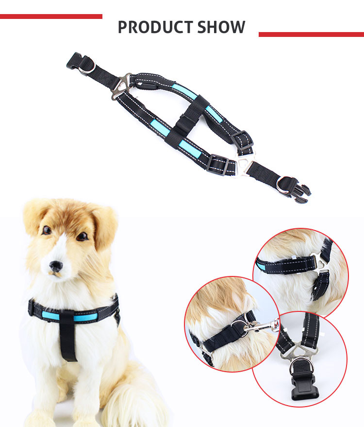 Blue / Green / Pink Luminious Nature Nylon LED Dog Harness 2.5x50cm