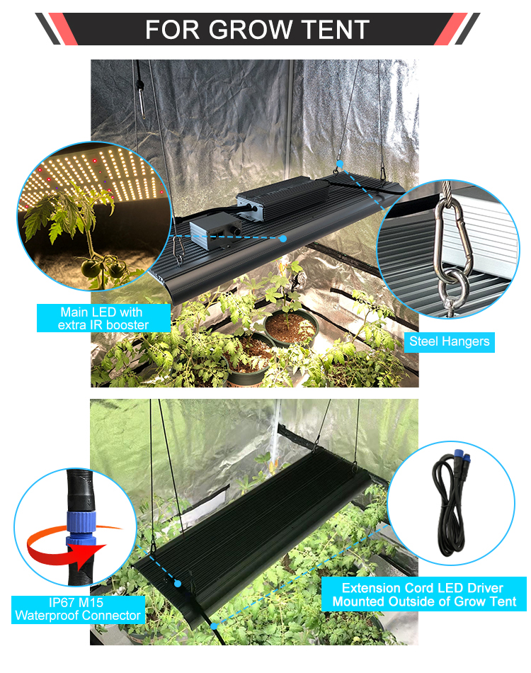 IP65 100w 320w Full Spectrum Quantum LED Grow Lights