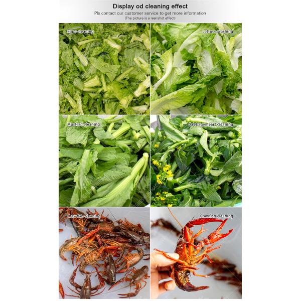 185KG 2.6KW Ozone disinfection vegetable washing machine Commercial units school canteen air bubble washing machine