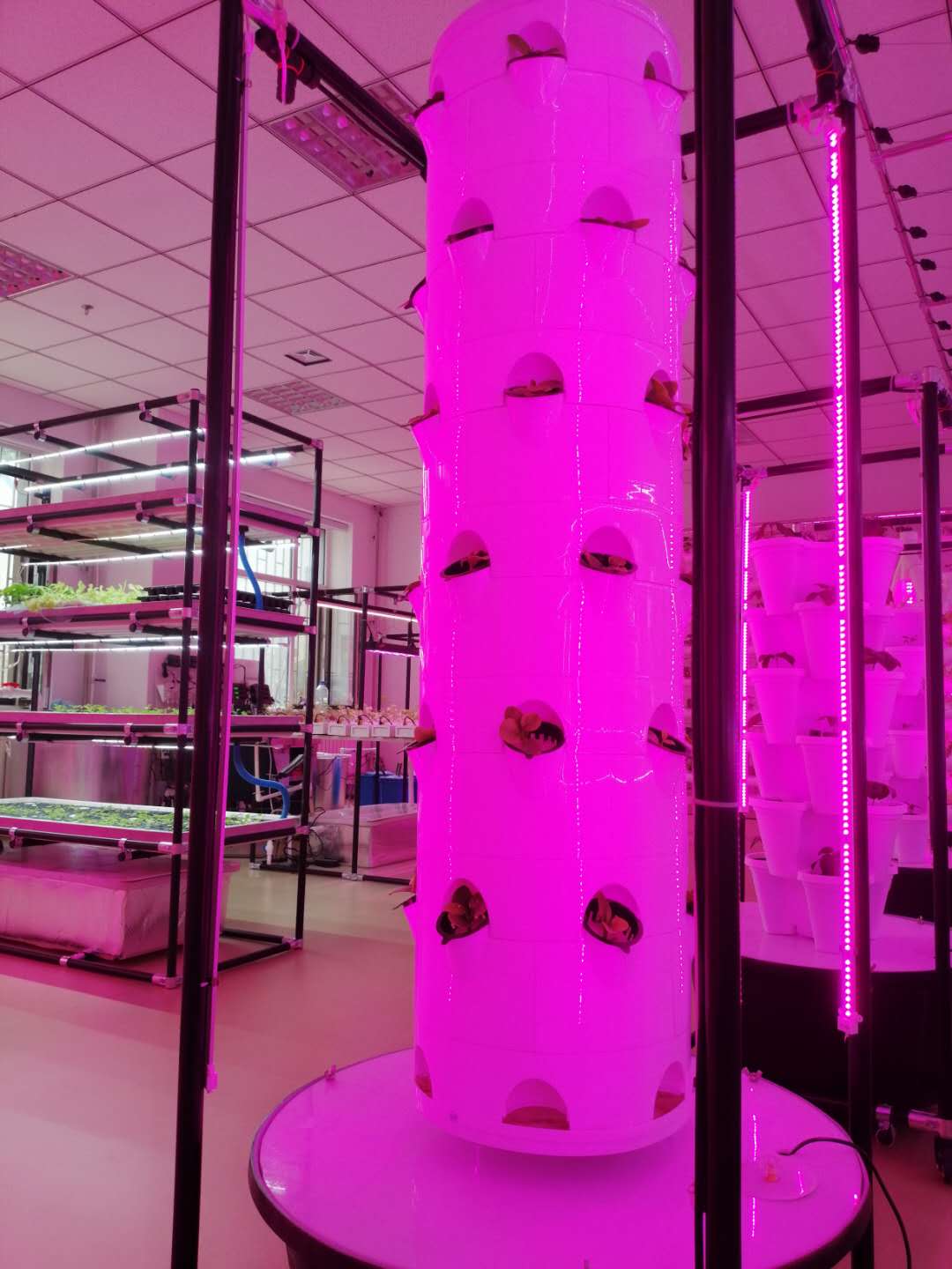 Wholesale Factory Price Hydroponic Growing System Tower with LED Grow Light Garden Aeroponics System