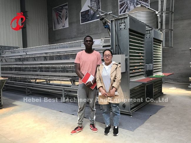 Q235 Wire Galvanized A Type Battery Cage For Layers Chicken Emily