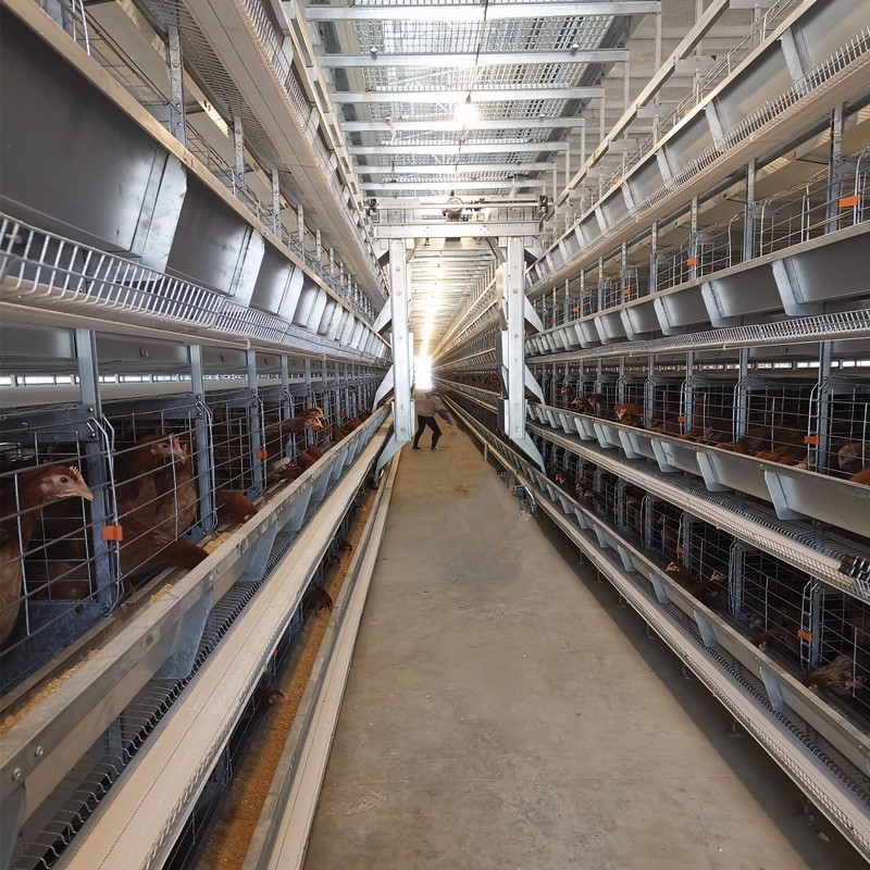 4 Tiers Battery Poultry Layer Chicken Cage Q235A H Frame Style Fully Auto