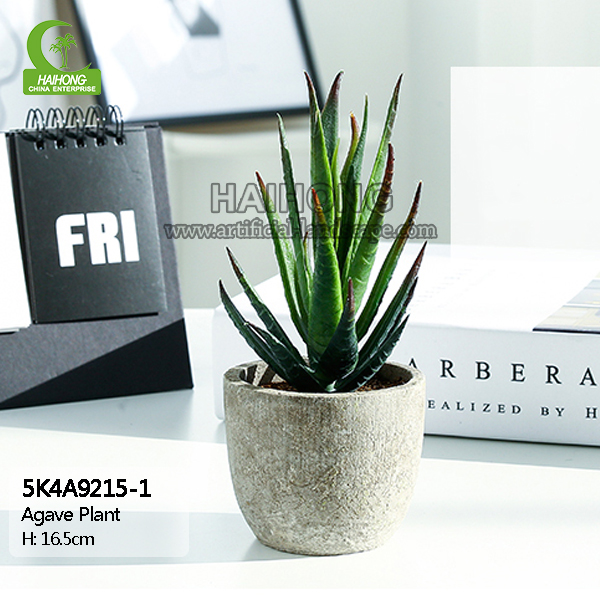artificial succulent plants