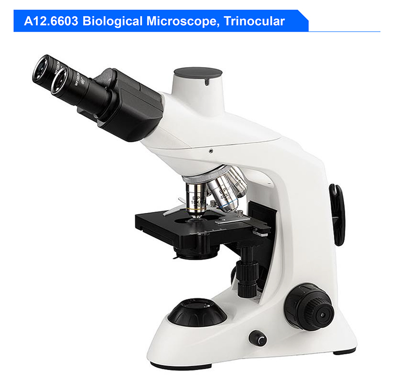 Multifunction Compound Optical Microscope Biological Monocular 1000x Microscope