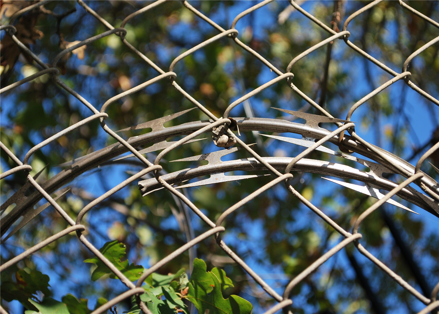 Boundary Wall wire fencing mesh For Leisure Sports Field / School Chain Link Fence