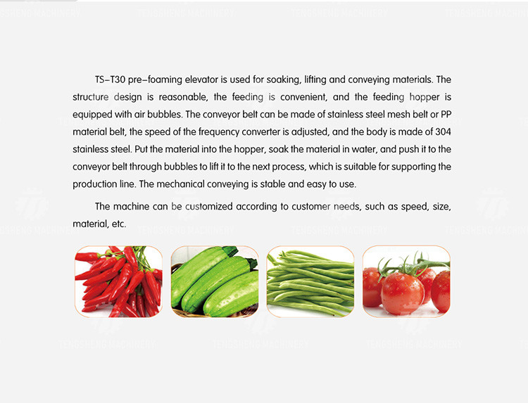 380V 0.375KW Stainless steel lifting conveyor food fruit and vegetable conveyor net belt lifting conveyor