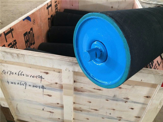 ODM Double Row Self Aligning Conveyor Roller SS304 Vacuum Sealed