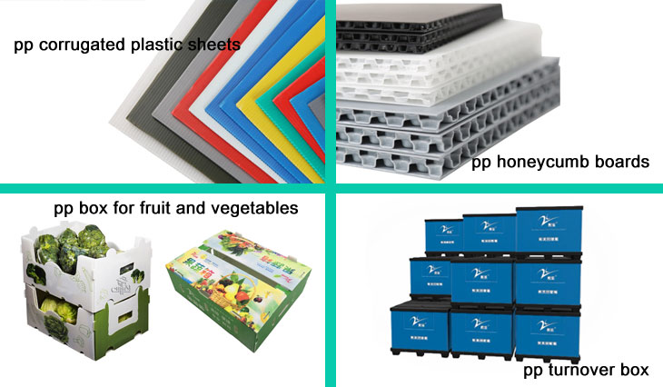Mangosteen PP Corrugated Box Glossy Apple Coroplast Box Customized
