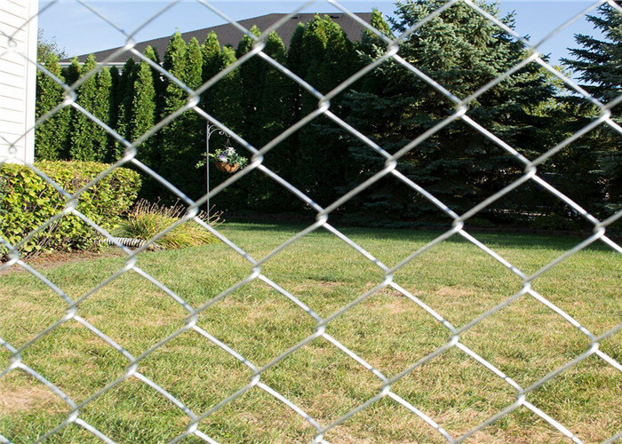 Wired Sheep Farm Galvanized Chain Link Fence Roll Breeding Sheep Cattle Swinery Net Orchard