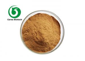 China Pure Corosolic Acid Banaba Leaf Extract Powder 20% 98% on sale