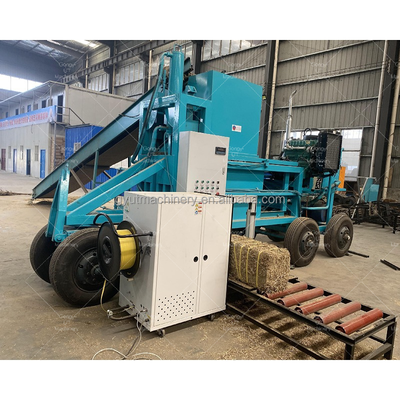 2024 Automatic Horizontal Hydraulic Straw Hays Silage Grass Baler Machine with Design