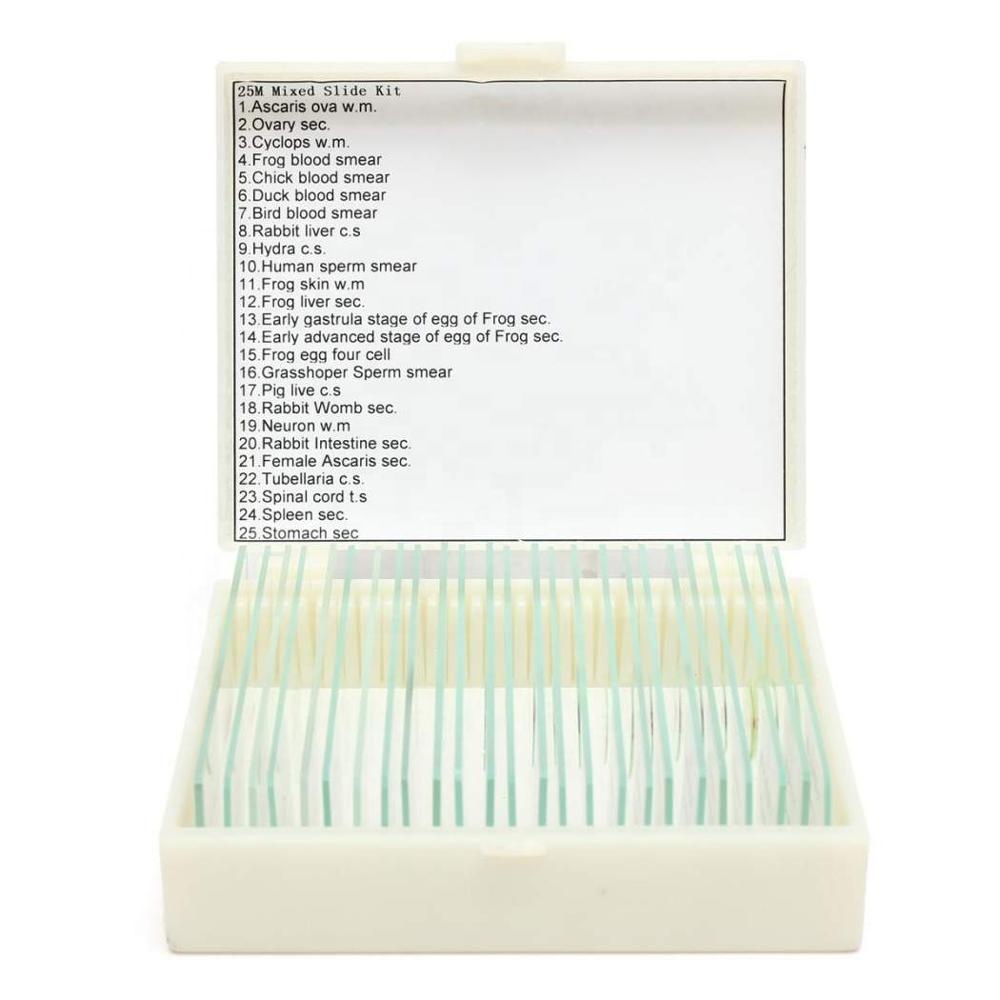 Lab Research Plastic Box 25pcs Pre Prepared Microscope Slides