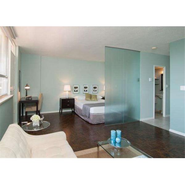 Windows / Doors Temporary Frosted Glass , Acid Etched Glass Free Sample Available