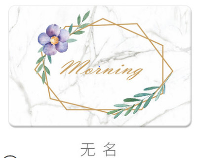 Soft Diatomite Floor Absorbent Mat Printable For Hotel Bedroom