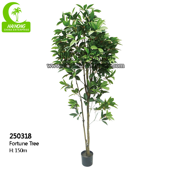fortune tree