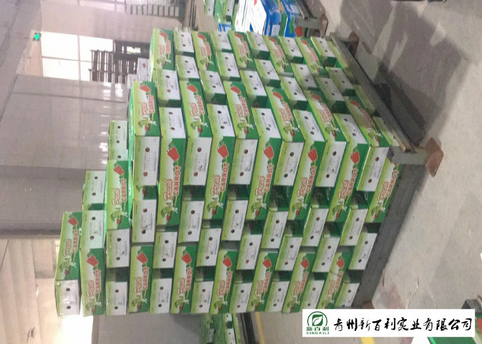 Japan Standard Fresh Organic Carrots Own Plantation Supply To Supermarket