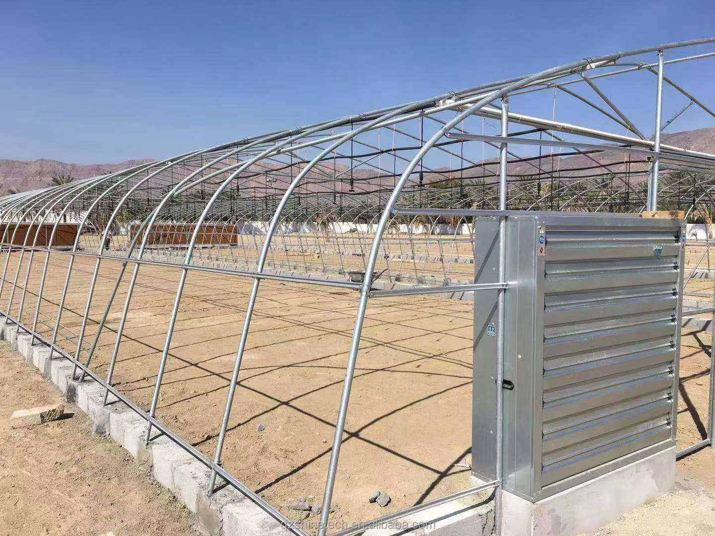 Film Cover 50x8m Single Span Type Agricultural Tunnel Greenhouse with 3.5-5M Height