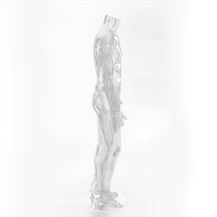 High Quality Male Manikin Transparent Mannequins female display Full Body Clear Mannequin