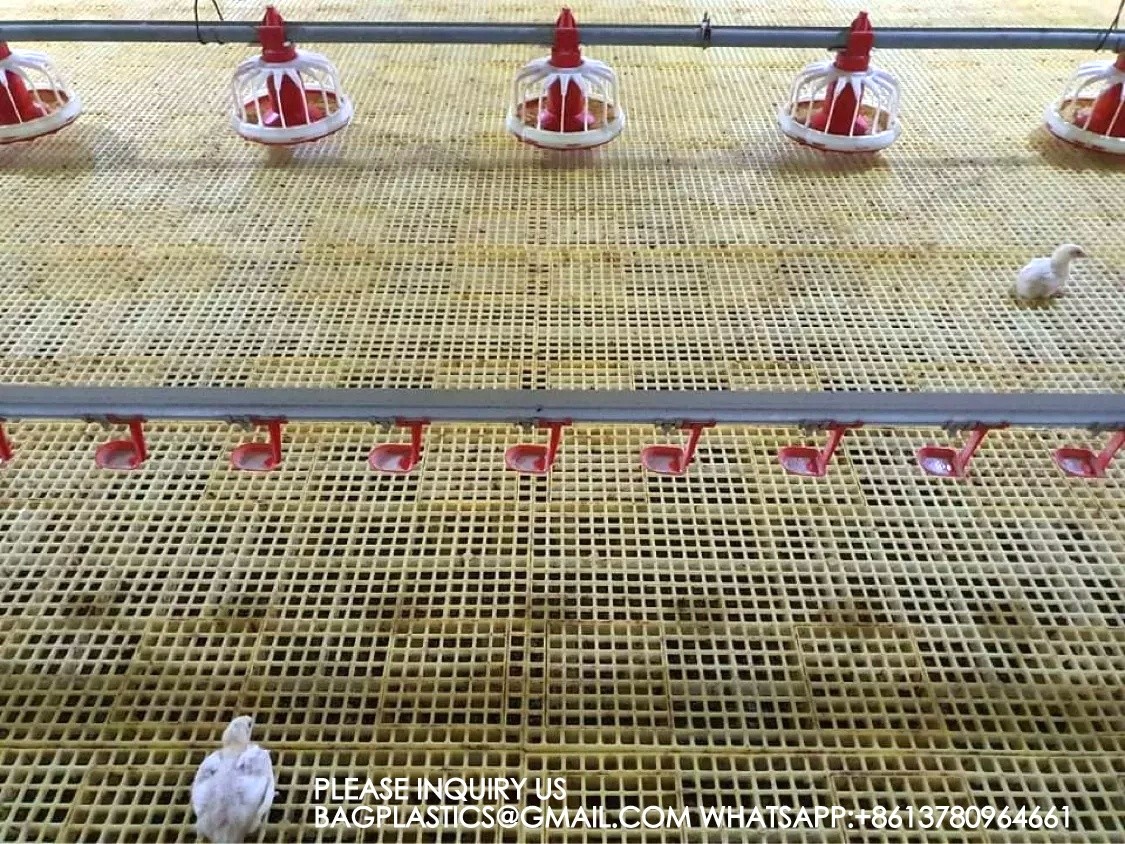 Agricultural Products Automatic Chicken Feeder Agricultural Greenhouses Animals Feeder