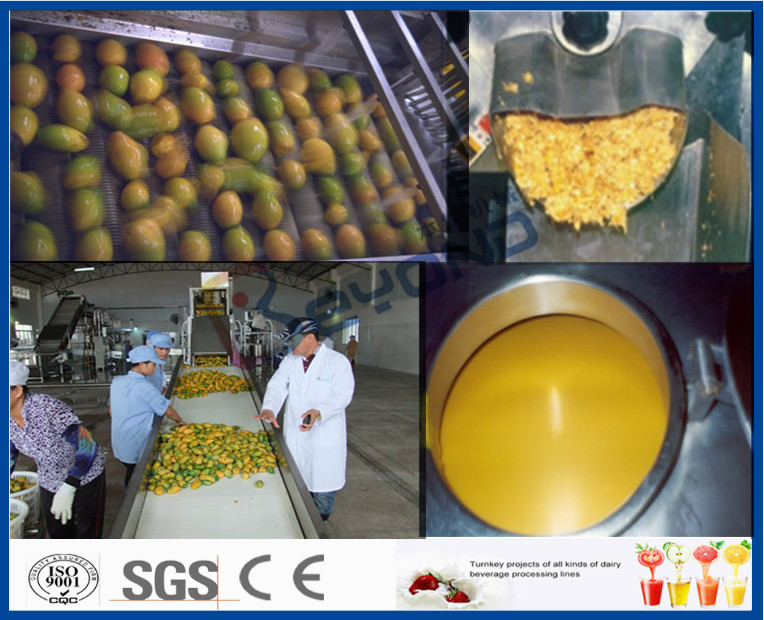 Mango Juice Processing Mango Pulp Processing Machinery , Mango Processing Machine