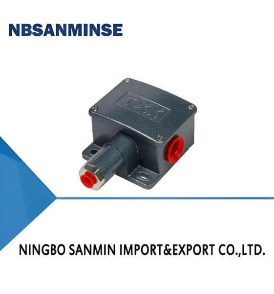Quality TXK pressure controller for sale
