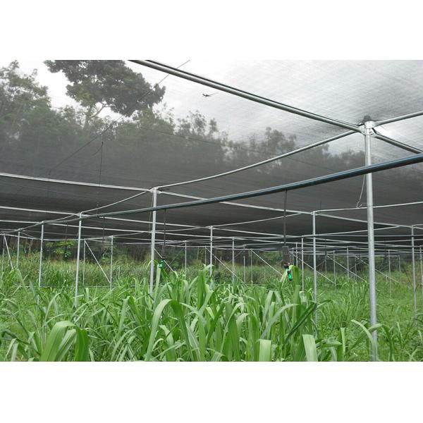 No Welding UV Blocking Shade Net House For Recreational Areas