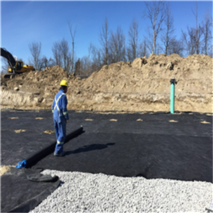Textured Smooth Surface 100mm Height HDPE Geocell for Durable Infrastructure Projects