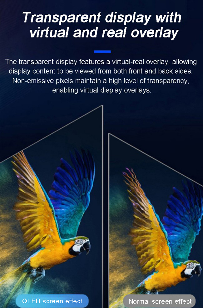 Commercial Intelligent Indoor Transparantcy OLED Advertising Display Player Vertical for Theaters Museum