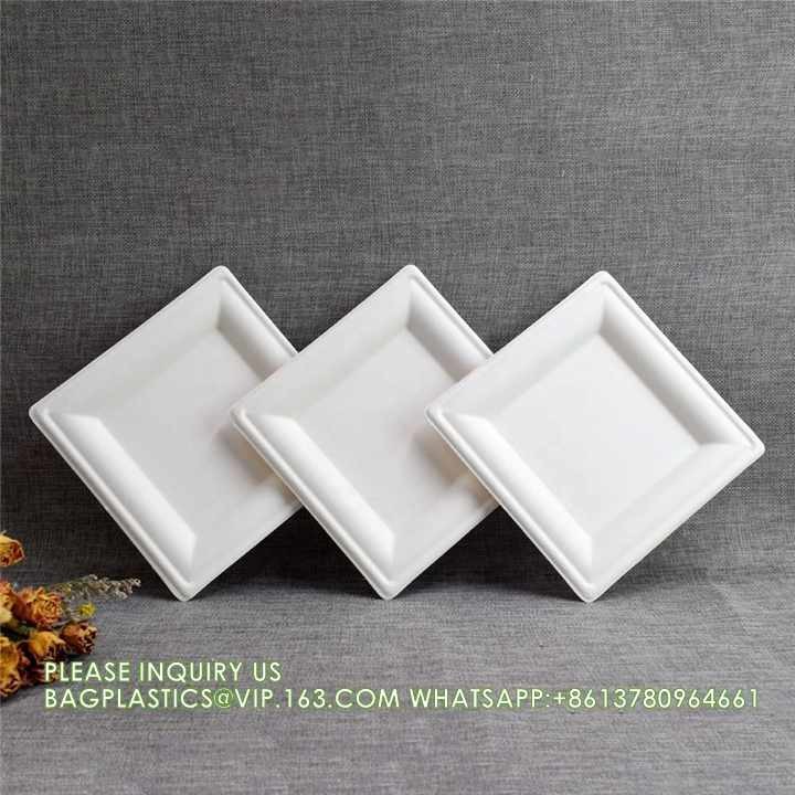 Eco-Friendly Wholesale Bio Disposable Sugarcane Food Container Snack Cookie Fruit Rectangular Plates
