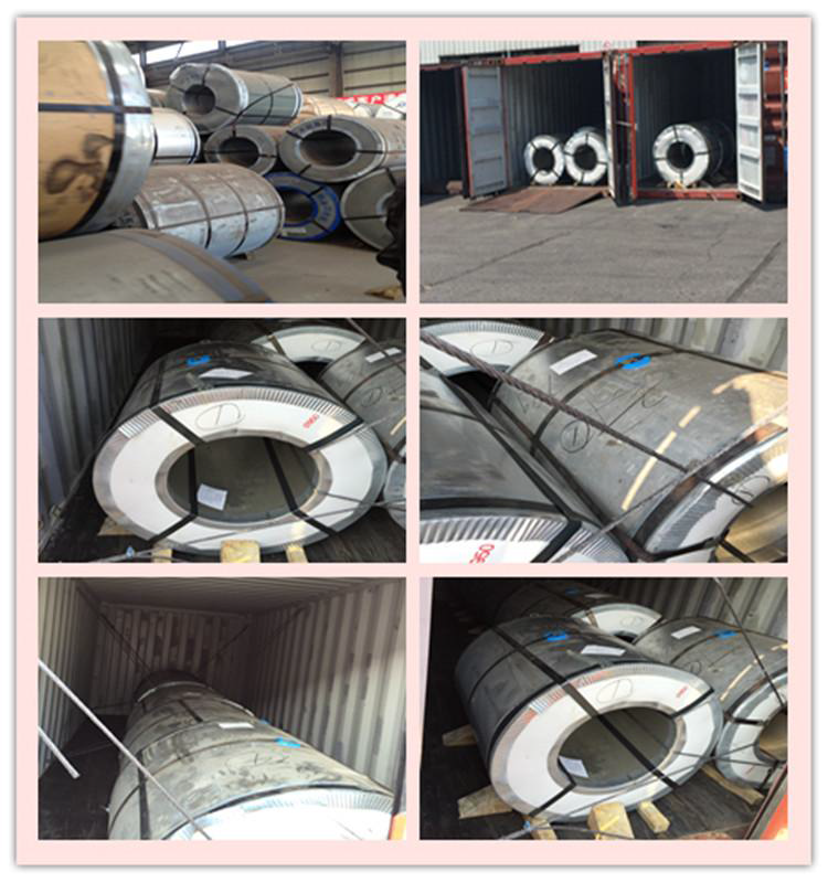 Hot Rolled And Cold Rolled Stainless Steel Coils 304 301 201 316L 409L 430