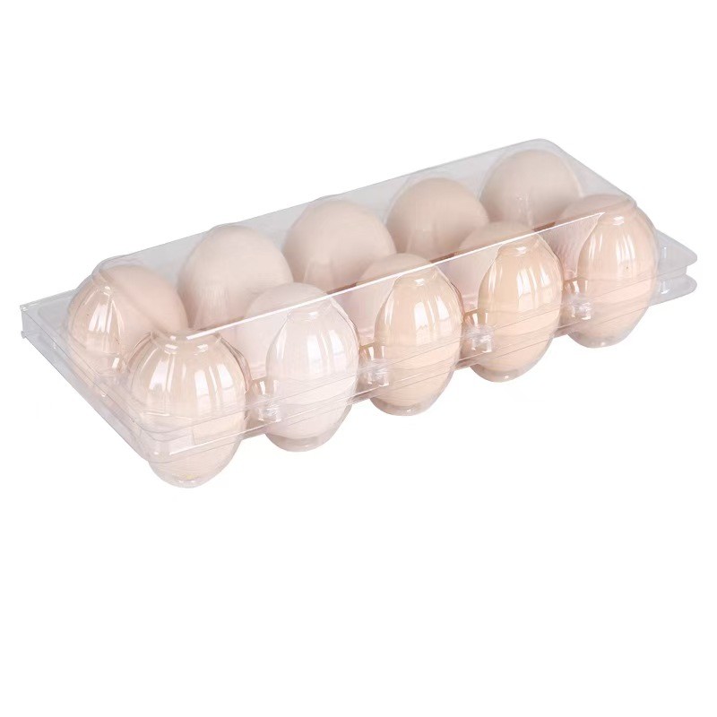 Hinged Clamshell Clear Plastic Egg Tray 10 Holes PET Compression Resistance