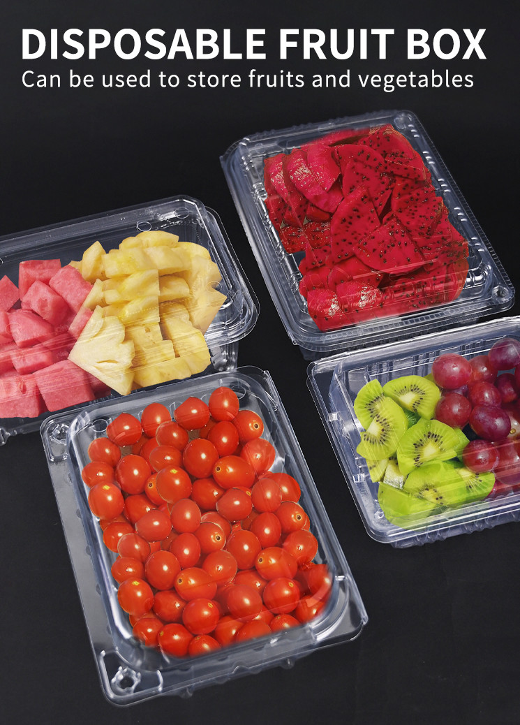 Clear Disposable Plastic Food Containers Hinged Lid Box For Cake Pastries