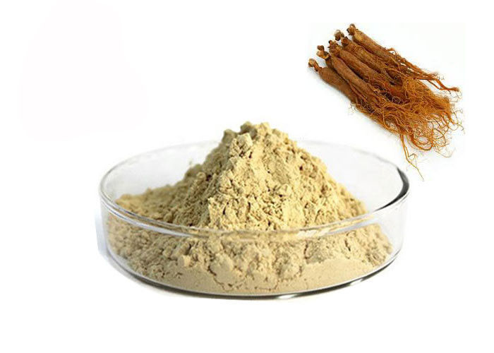 10% Ginsenosides Red Ginseng Extract