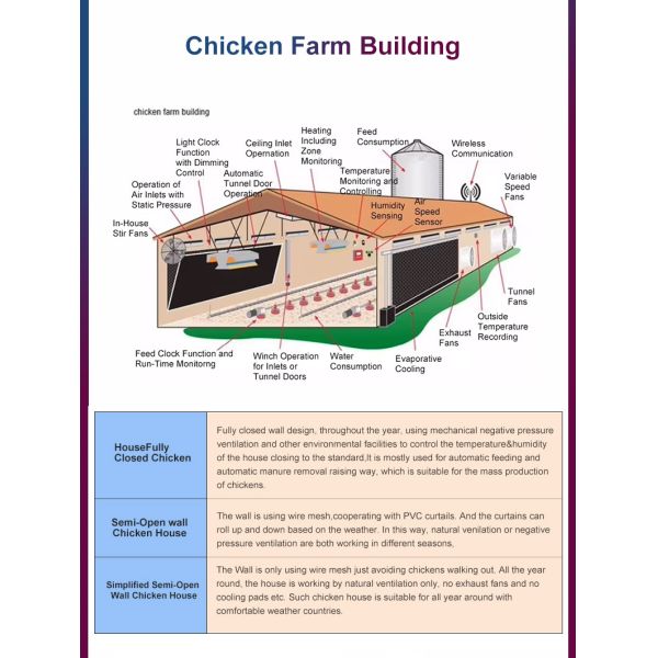 Chicken Shed Steel Structure Anti-rust Steel Construction for Long-term Use in Livestock Industry