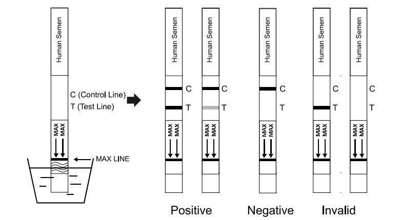 Human Semen Health Rapid Test PSA Qualitative Detection 40T 50T