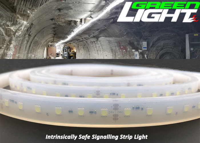 Waterproof EXIBII 17W/M LED Flexible Strip Lights SMD2835 110V 1630Lum