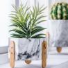 Buy cheap Marble Finish Cactus Flower Pots Homewares Decorative Items Succulents Plant from wholesalers