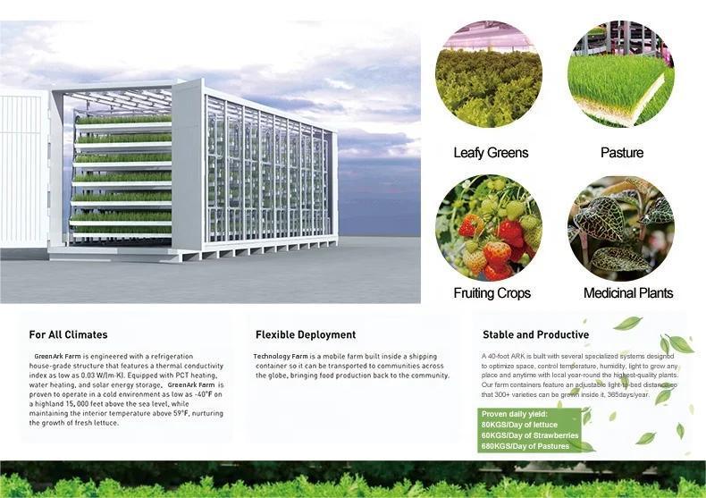 Juxiang OEM Living Vegetable Hydroponic Culture 100 Kg Daily Vegetable Growing Room Hydroponic Germination System Solar Energy